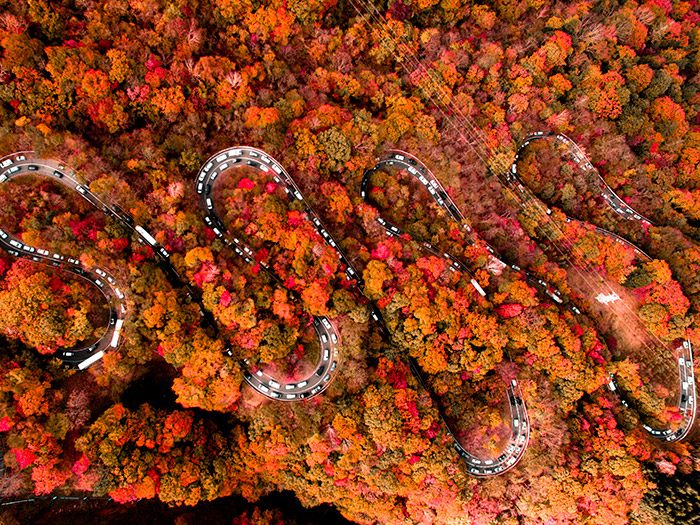 部門賞「色に溺れる」　　Rei Hanadaさんの作品　「秋に染まる日光いろは坂」